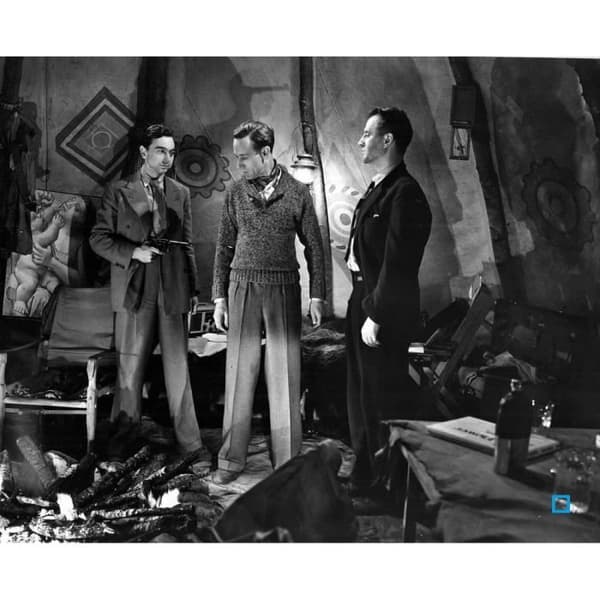 DVD 49:e parallellen
