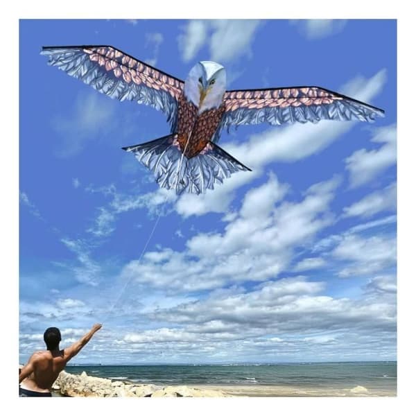 3D-drake - Örn - Realistisk design - Polyester - 160 cm x 85 cm