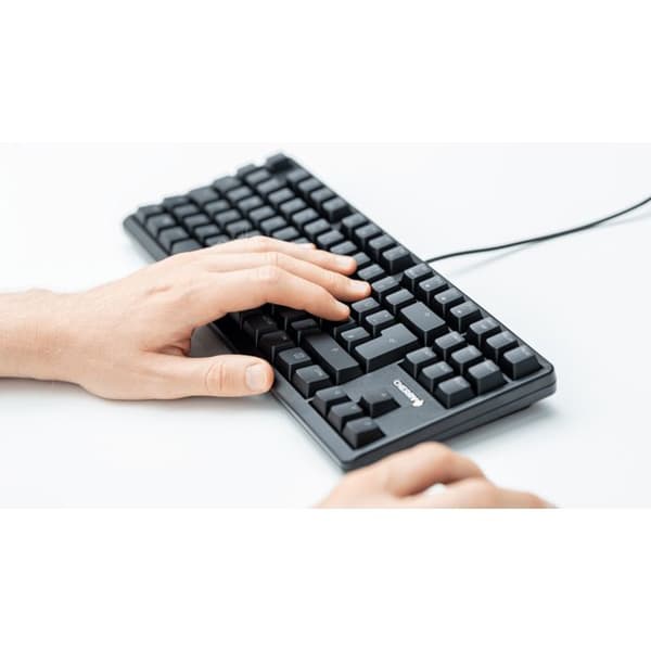 Cherry Clavier CHERRY G80-3000