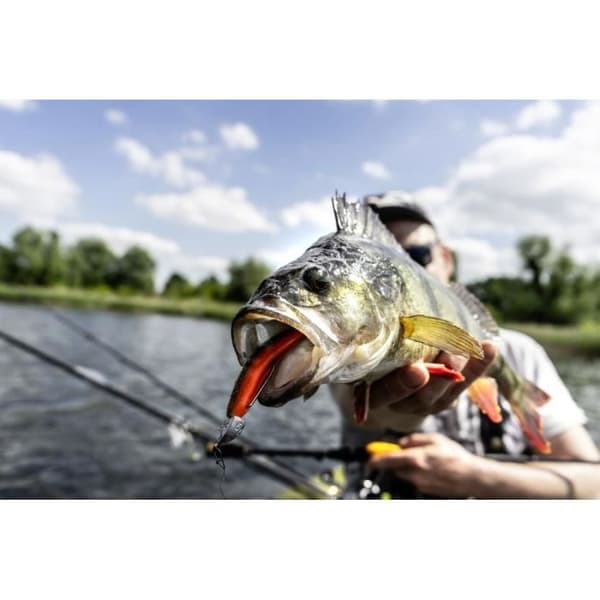 10-pack Quantum 4street B-Ass Shad - vit/röd - 5,60 cm