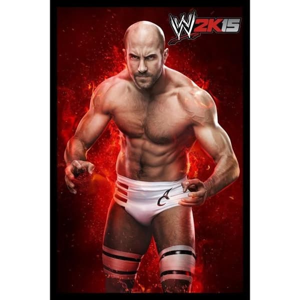 WWE 2K15 XBOX One Game