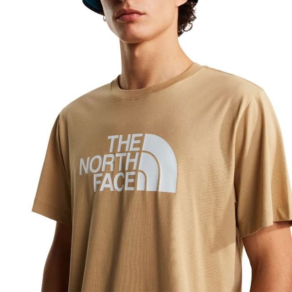 The North Face T-shirt Evolution Half Dome Beige - NF0A8B6JLK5