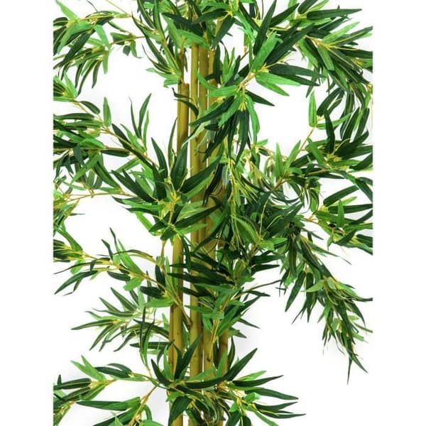 Bambu Multitrunk 150cm