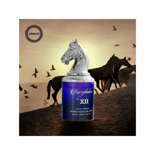 Eau de Parfum - ARMAF - Bucephalus XII - 100 ML - Man - Kryddig Amber