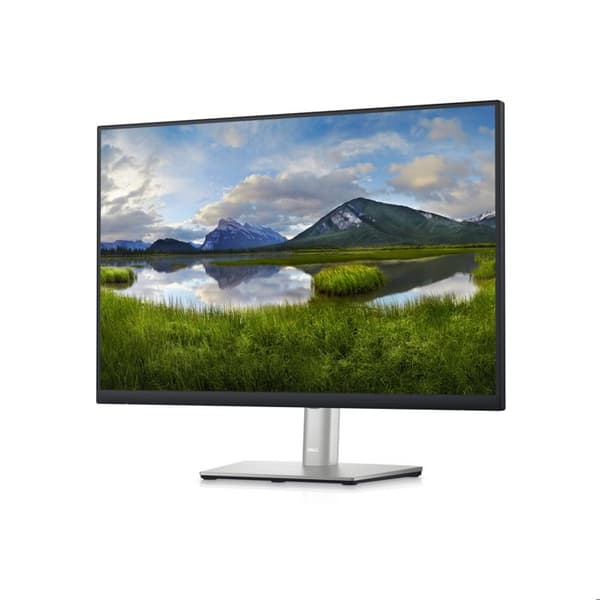 Dell P2423 DELL-P2423