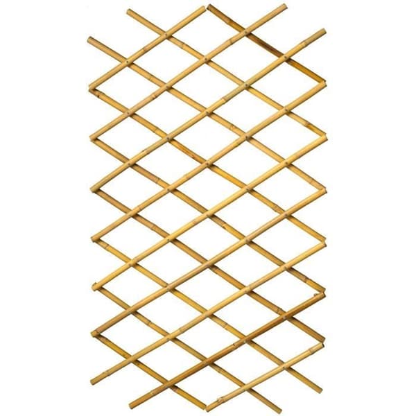 Utdragbar spaljé - NATUR - Bambu - 100 x 200 cm