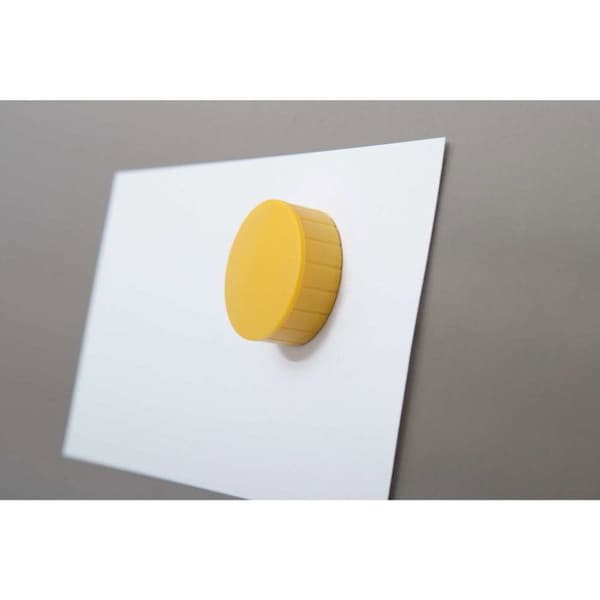 Magneter - MAUL - MAULsolid - Ø 38 mm - Styrka 2,5 kg - Gul