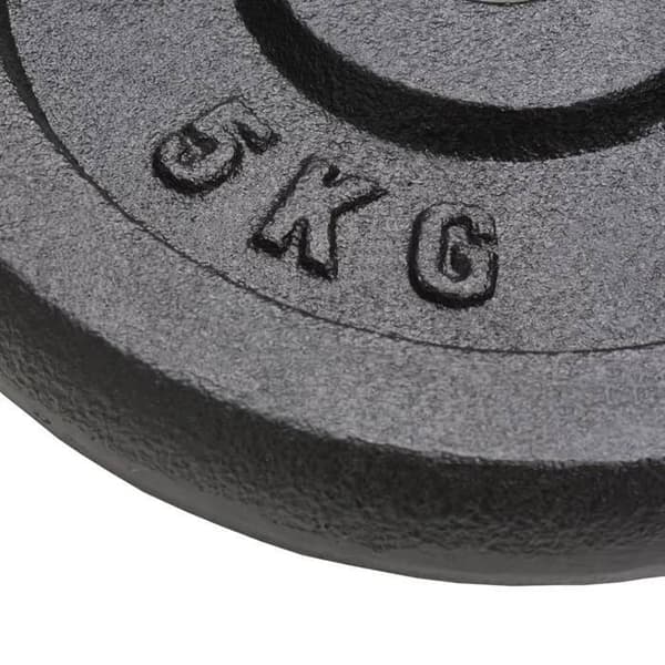 Viktskiva - vidaXL - 4 st - 4x5 kg - Gjuten - Repåresistent