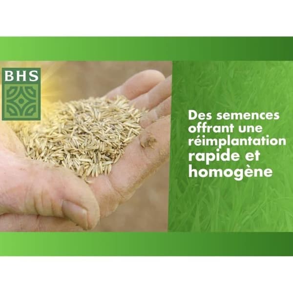 Gräsfrö - BHS - Gräs Reparation 3kg