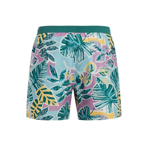 Protest Rayger badshorts