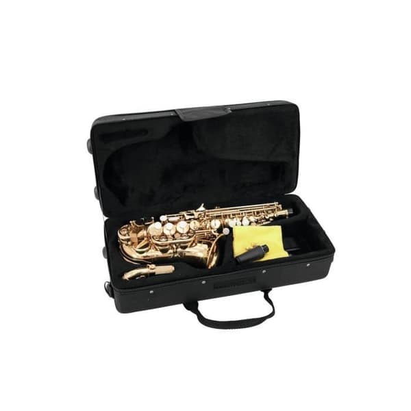 SP-20 Bb Sopransaxofon, guld