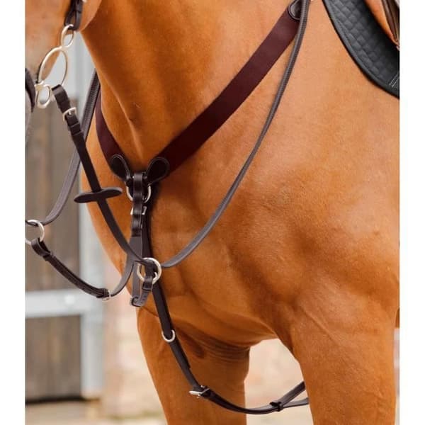 Martingale för hästar Premier Equine Baressa - mörkbrun - Full
