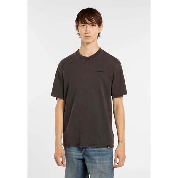 T-Shirt Dickies Plentywood Ss