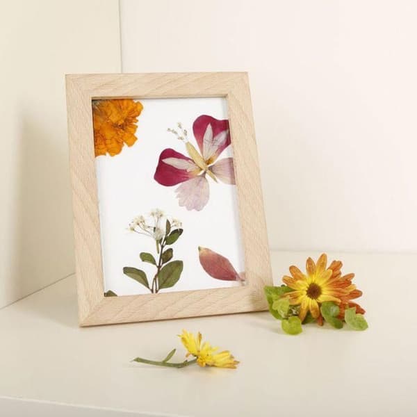 2 ramar i trä för herbarium 13 x 17 cm