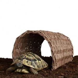 Trixie Wicker-bro storlek S