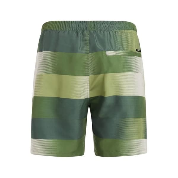 Protest Lomond badshorts
