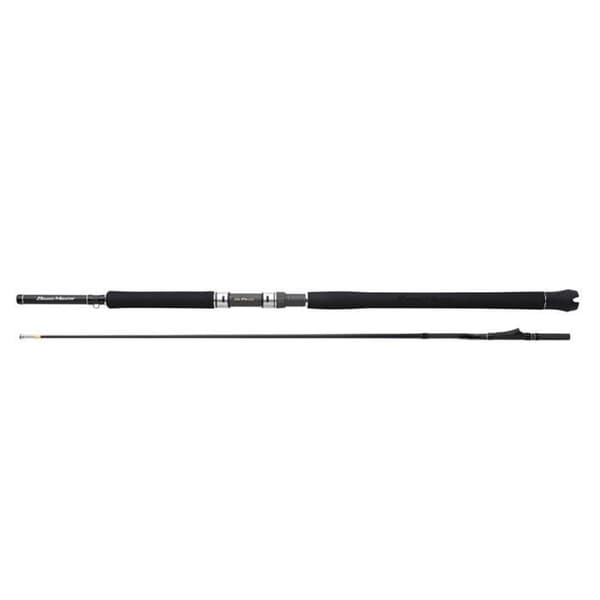 Shimano Beastmaster CX Innerguide MH - 100g - 2-Delig