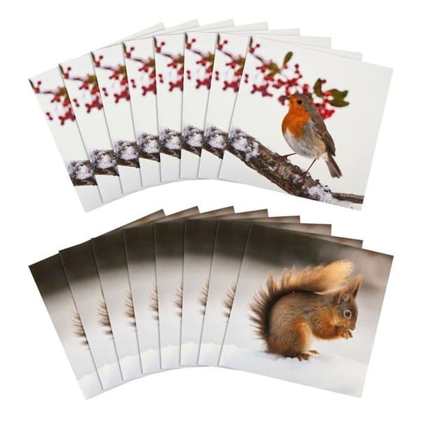 Julkort - Hallmark - 25572278 - 16-pack - 2 designer - Återvinningsbara