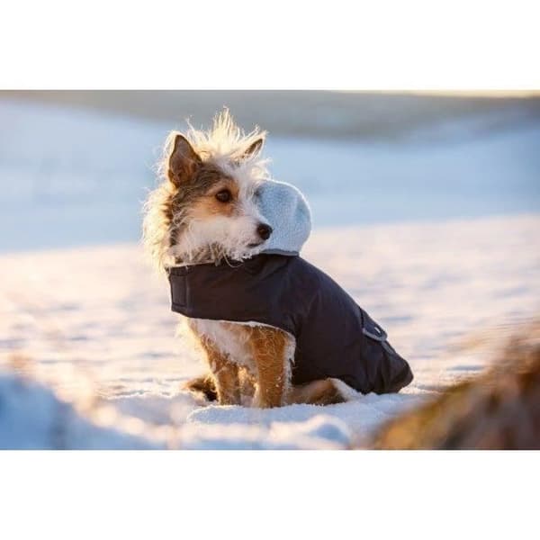 Hundkappa - KERBL - Teddy - Vattentät - Teddyfoder - Reflekterande