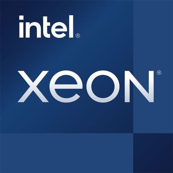 Processor - INTEL - Xeon E-2378 - 2,6 GHz - 8 kärnor - 16 Mo Cache L3