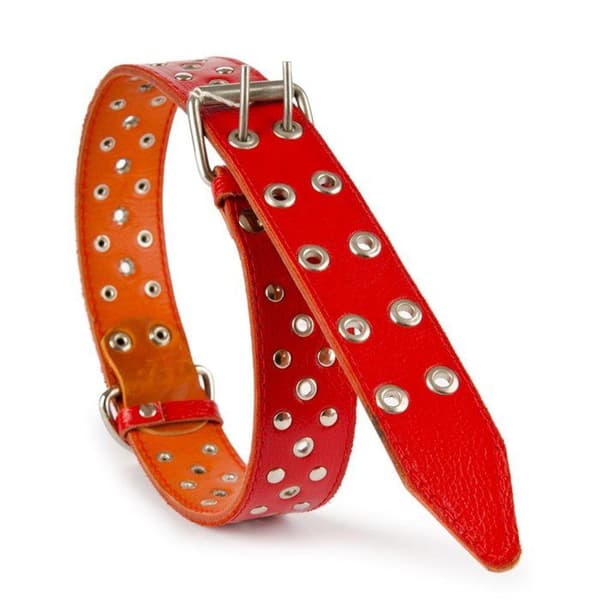 Walfront Grommets - Walfront8hqza0r312-01