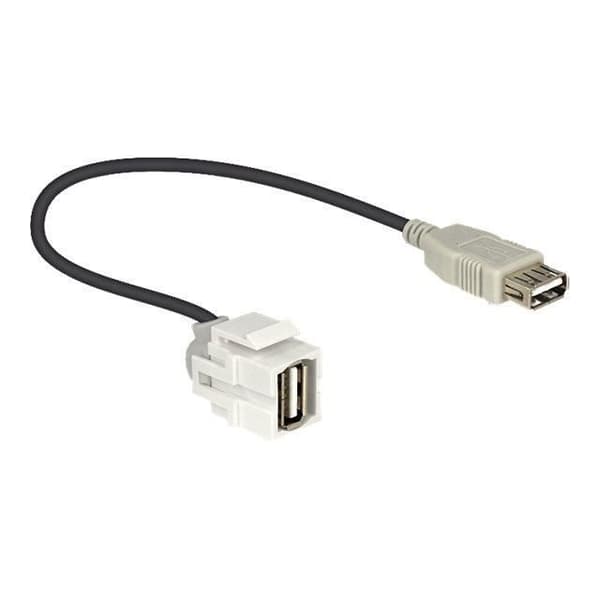 Modulär USB Typ A - DELOCK - Svart - Inomhus - Klar att installera - Enfas