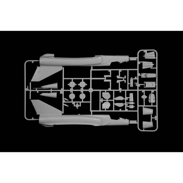 Mirage III E