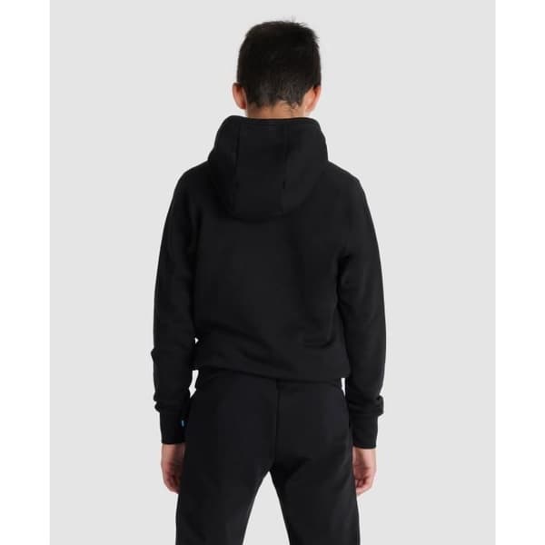 Barn hoodie Arena Team Panel