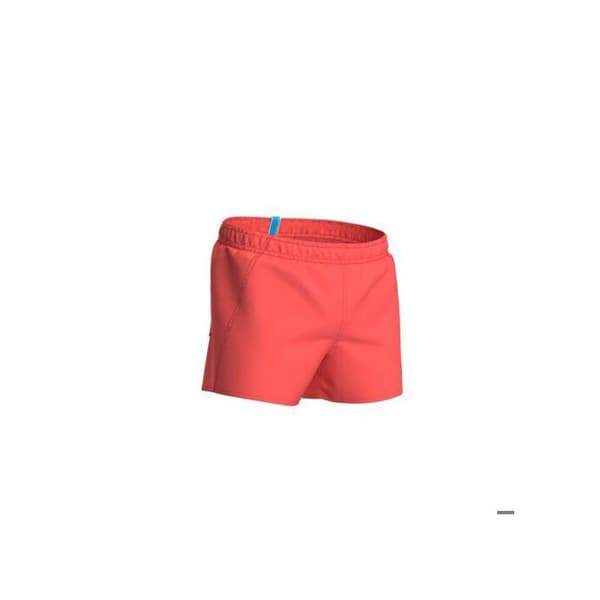 Arena Fundamentals badshorts