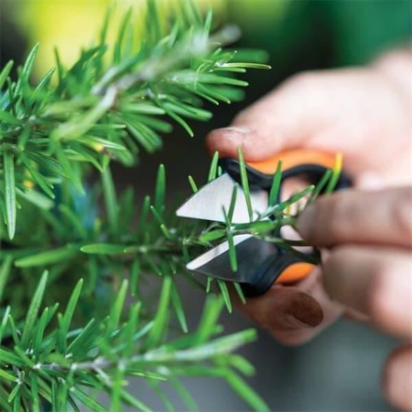 Kryddklippare - FISKARS - Solid™ SP220 - Precisionsklippning - Rostfria blad - Ergonomisk