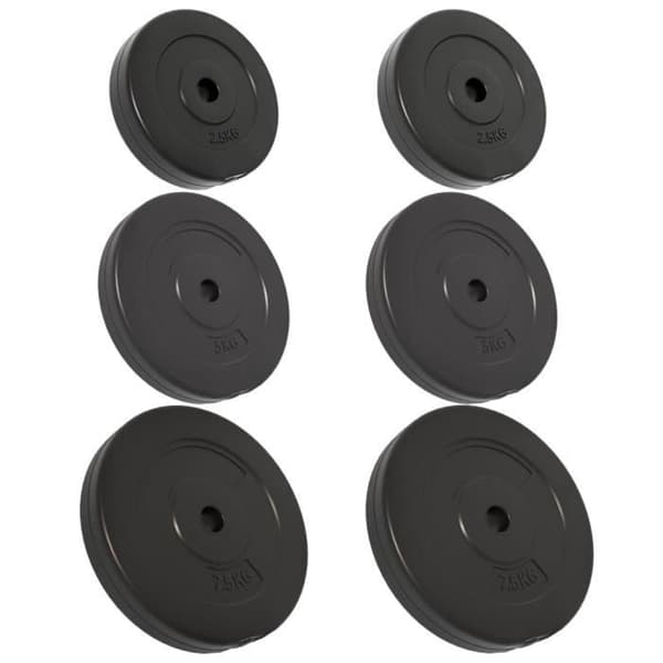 93599 vidaXL Viktskivor 6 st 30 kg Betong