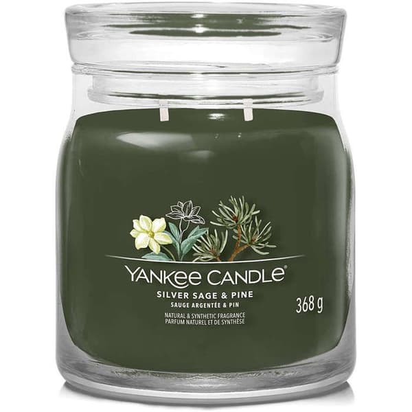 CANDELA GIARA MEDIA SILVER SAGE & PINE