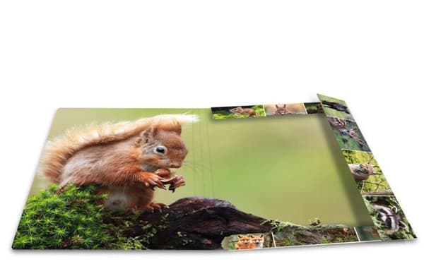HERMA Mapp/tryckt mapp med elastik Skogsdjursmönster 44x31,5 cm