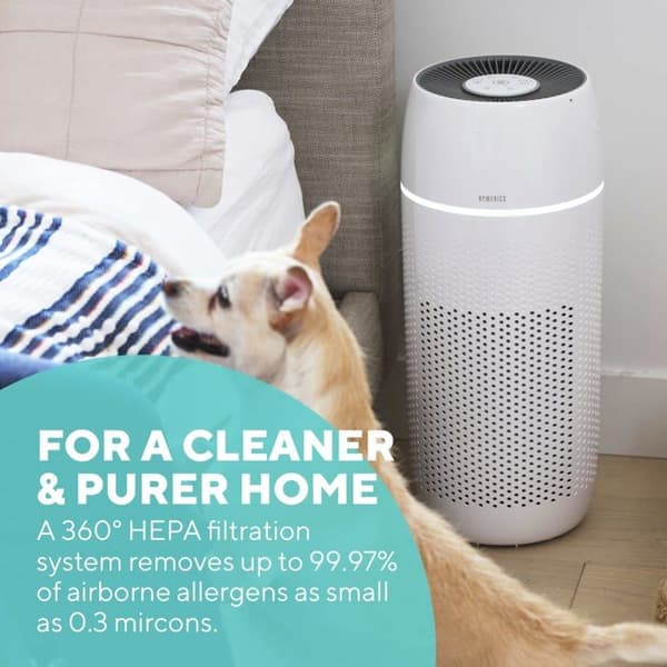 Luftrenare - Homedics luftjonisator - AP-PET35WT-EU