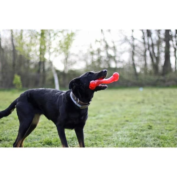 AIME Toy Play Starkt ben 30cm - För hundar