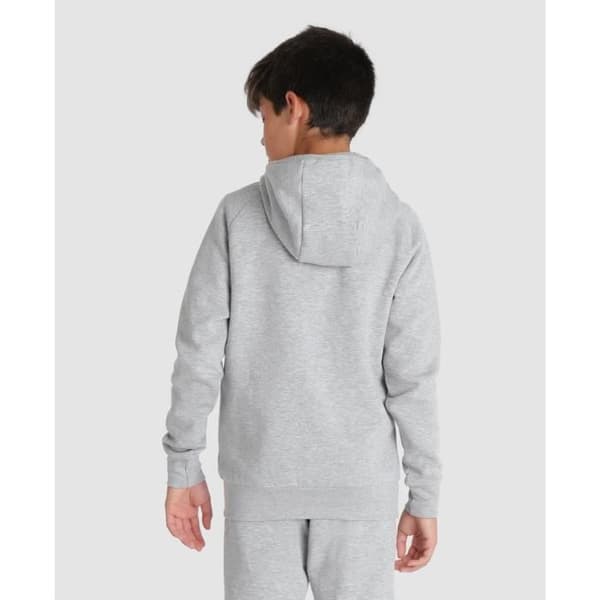 Barn hoodie Arena Team Panel
