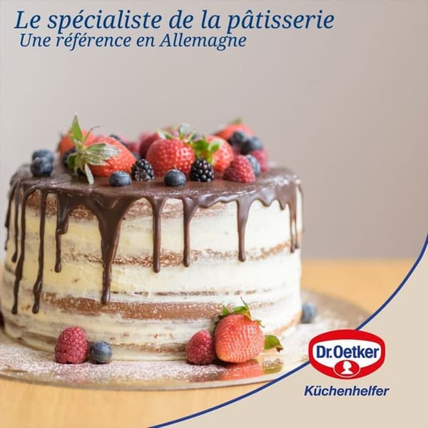 Rektangulär fällbara form med transportlock 42 x 29 x 7 cm Dr. Oetker Back-Idee Kreativ