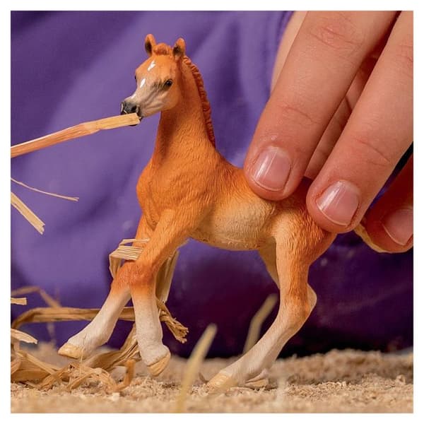 Hästfigur - SCHLEICH - Arabisk Föl - Vit - Inomhus - För Barn