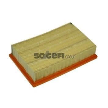 PURFLUX Luftfilter A1170