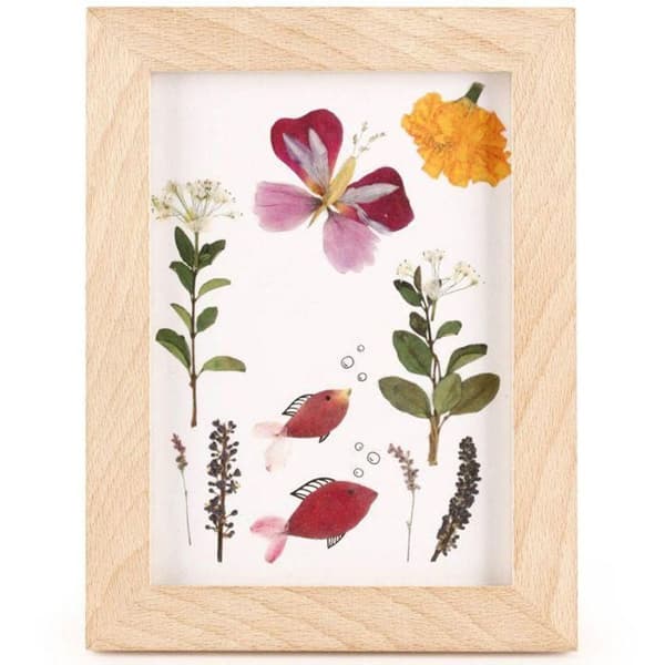 2 ramar i trä för herbarium 13 x 17 cm