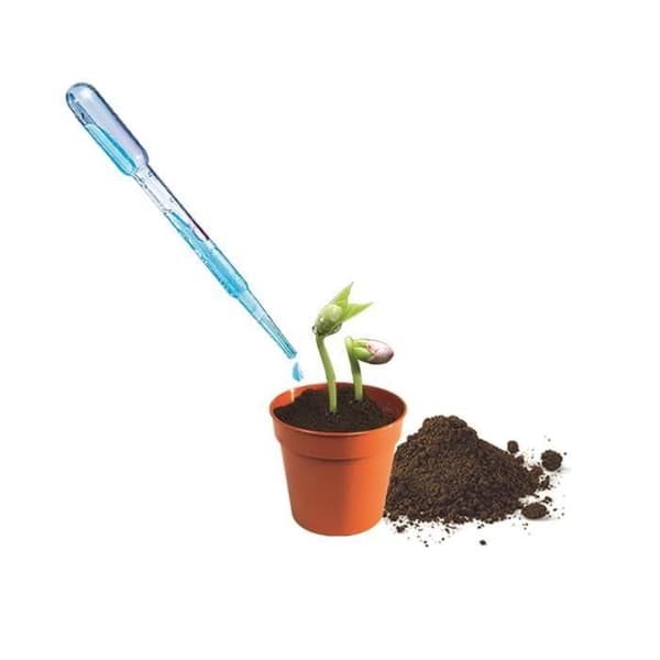 Mini växthus botaniskt CLEMENTONI