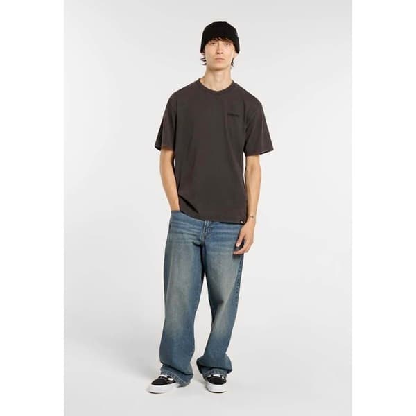 T-Shirt Dickies Plentywood Ss