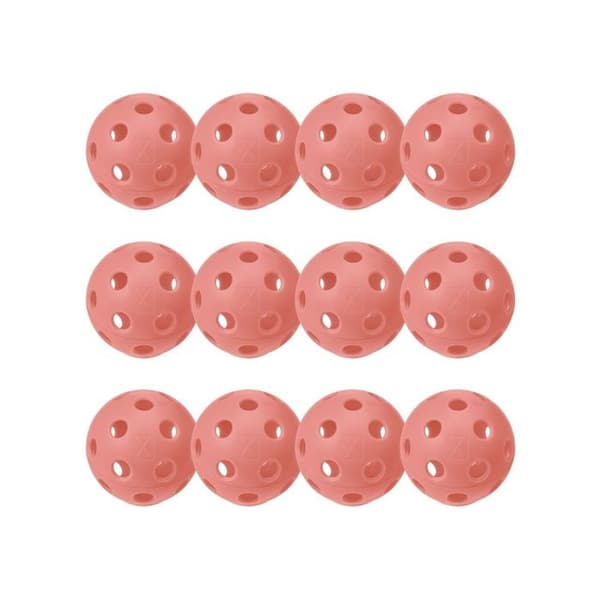 Inomhus pickleballbollar Franklin X-26 (x12)