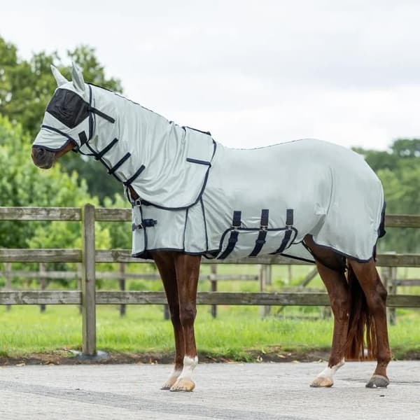 Hästtäcke QHP zebra - Grå - Vit - 115 cm (Total längd: 155 cm)
