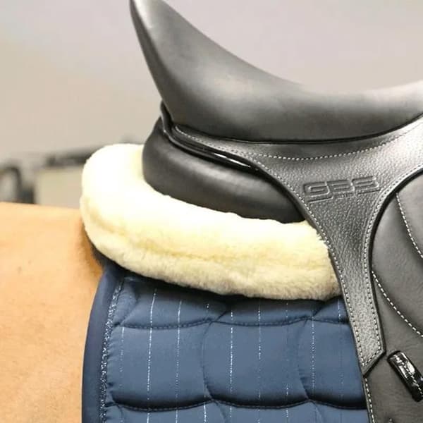Dämpare för anatomisk häst får Kentucky Absorb