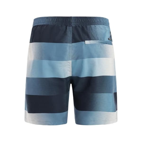 Protest Lomond badshorts