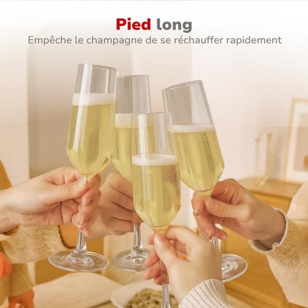 alpina Verres à Champagne 220ml