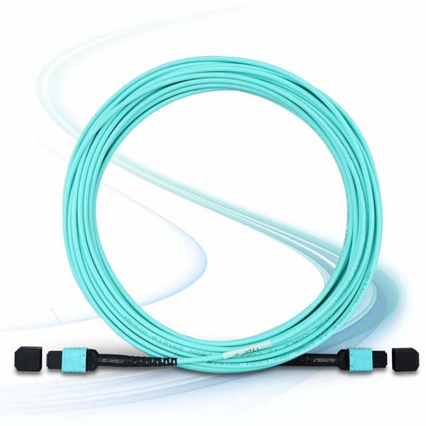 Fibrer optik Suwolf - MPO-12B3-1