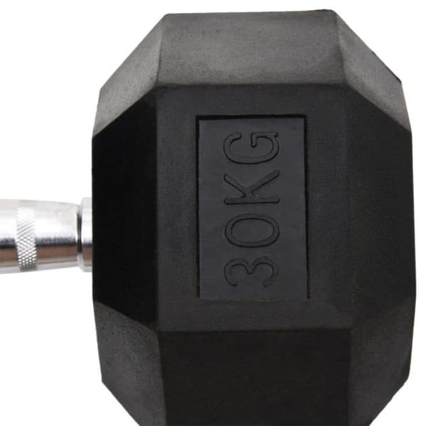 Hantel 30 kg Gjutjärn