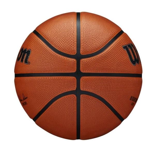 Basketboll Wilson NBA Authentic Series Utomhus T5